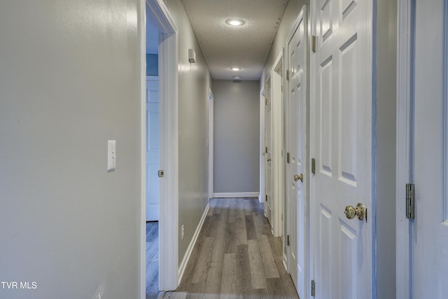 33 Mockingbird Ct, Jonesborough, TN 37659 - corridor with light wood-type flooring and a textured ceiling