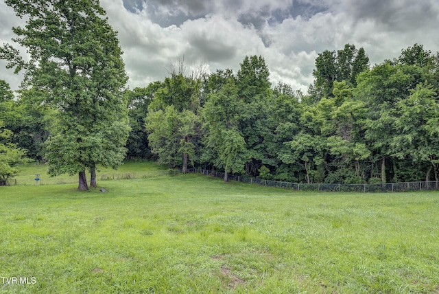 33 Mockingbird Ct, Jonesborough, TN 37659 - view of yard with a view of trees