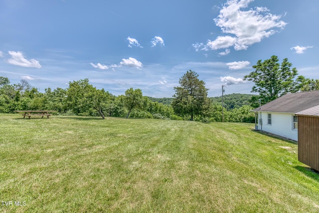 406 Mclaney Rd, Watauga, TN 37694 - view of grassy yard
