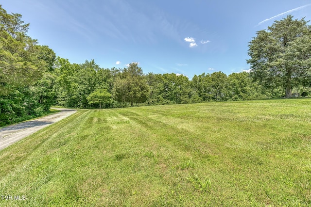 406 Mclaney Rd, Watauga, TN 37694 - view of green lawn featuring a forest view and driveway