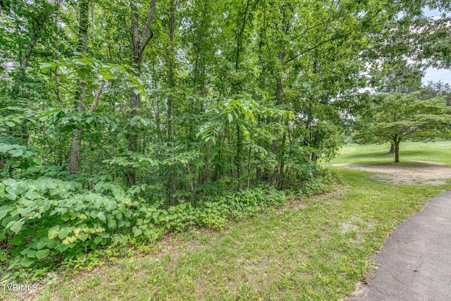406 Mclaney Rd, Watauga, TN 37694 - view of road