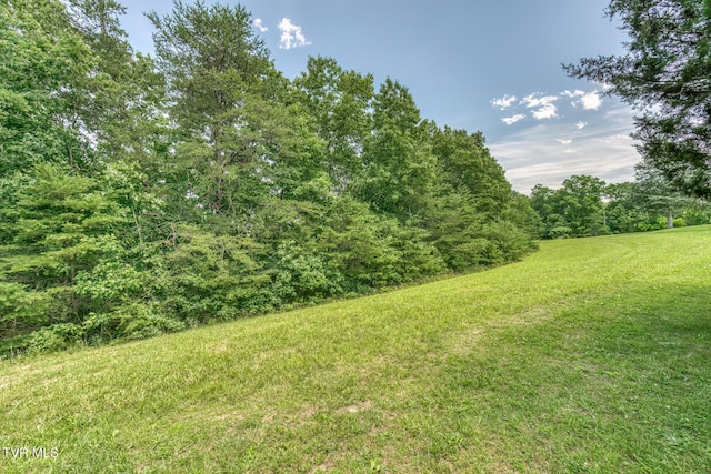 406 Mclaney Rd, Watauga, TN 37694 - view of green lawn with a wooded view