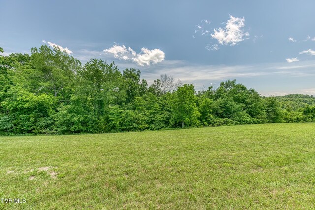 406 Mclaney Rd, Watauga, TN 37694 - view of green lawn with a wooded view