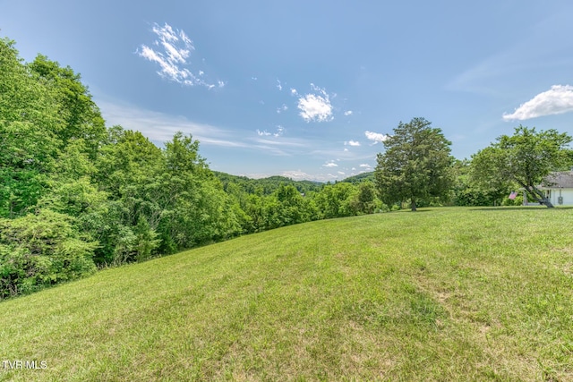 406 Mclaney Rd, Watauga, TN 37694 - view of green lawn with a view of trees