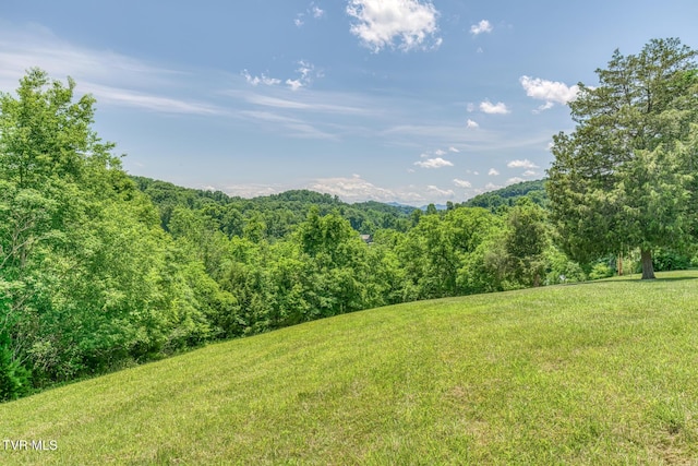 406 Mclaney Rd, Watauga, TN 37694 - view of mountain backdrop featuring a heavily wooded area