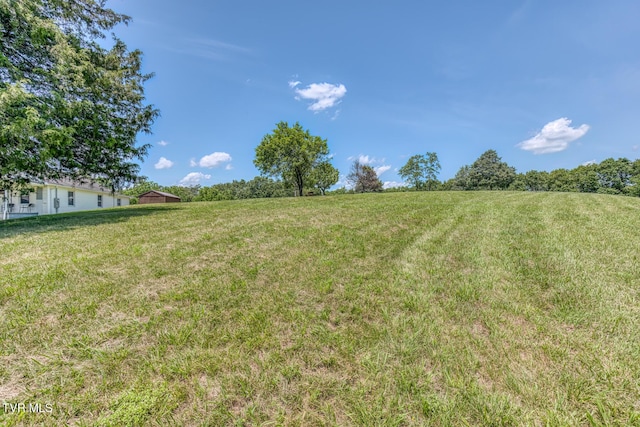 406 Mclaney Rd, Watauga, TN 37694 - view of grassy yard with a rural view