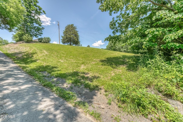 406 Mclaney Rd, Watauga, TN 37694 - view of road