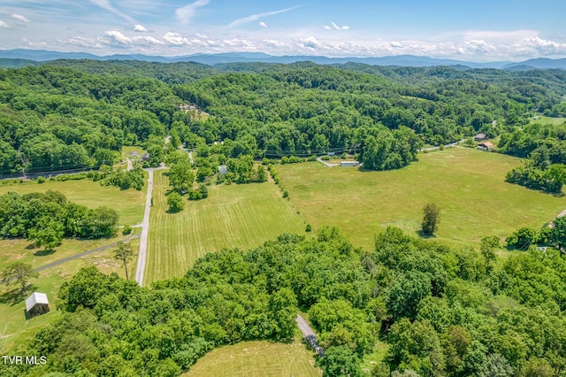 406 Mclaney Rd, Watauga, TN 37694 - view of rural area with a heavily wooded area and mountains