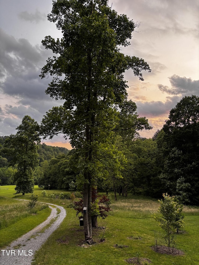 103 Meadow Springs Ct, Flag Pond, TN 37657 - surrounding community with driveway