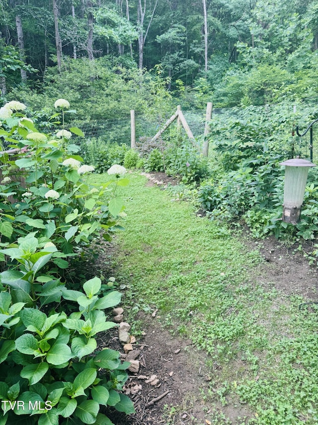 103 Meadow Springs Ct, Flag Pond, TN 37657 - view of yard featuring a wooded view