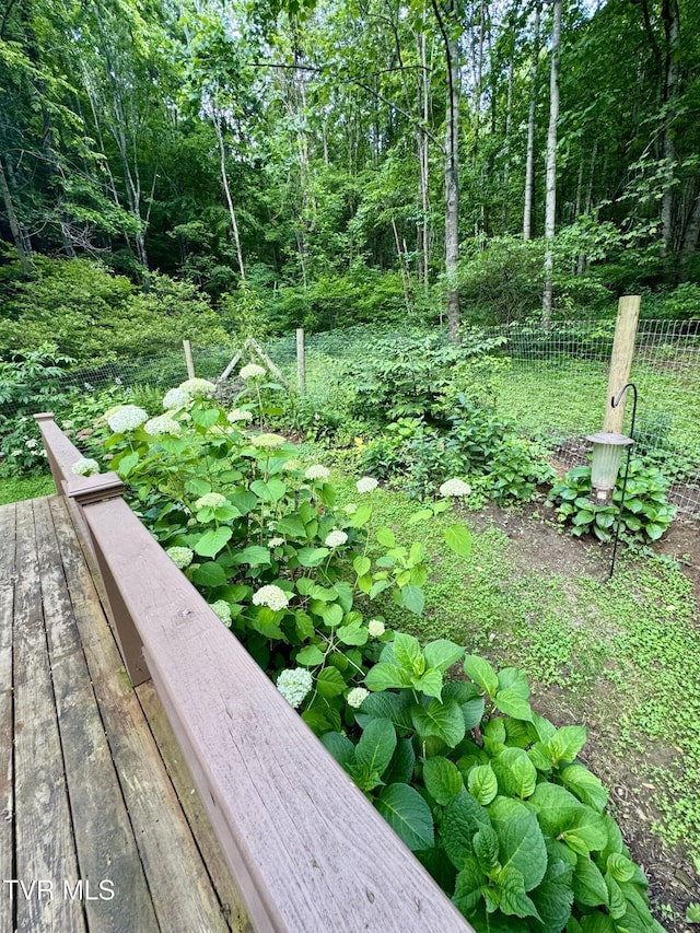 103 Meadow Springs Ct, Flag Pond, TN 37657 - view of yard with a vegetable garden