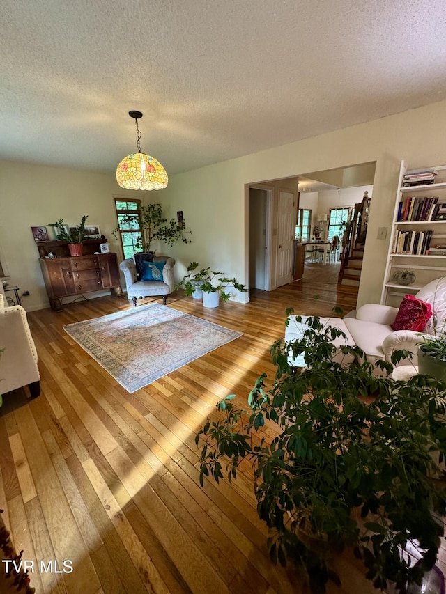 103 Meadow Springs Ct, Flag Pond, TN 37657 - living area featuring hardwood / wood-style floors and a textured ceiling