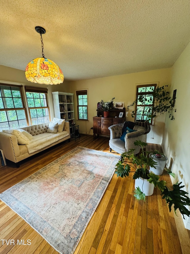 103 Meadow Springs Ct, Flag Pond, TN 37657 - living room featuring a textured ceiling and wood-type flooring