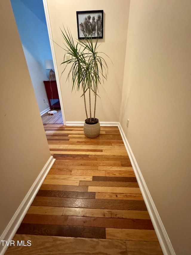 103 Meadow Springs Ct, Flag Pond, TN 37657 - hall with wood-type flooring and baseboards