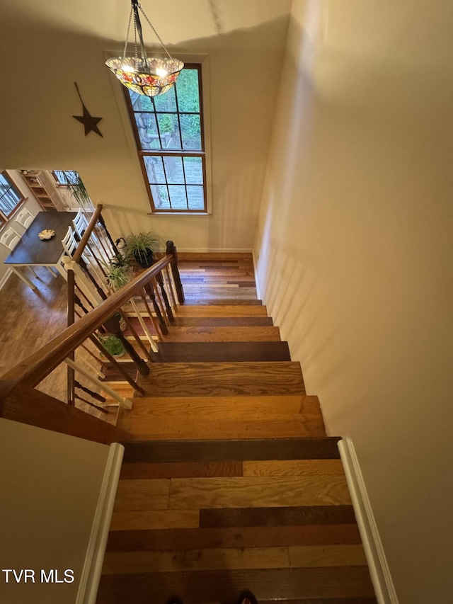 103 Meadow Springs Ct, Flag Pond, TN 37657 - stairway with hardwood / wood-style floors and a chandelier