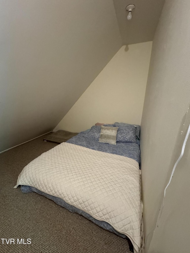 103 Meadow Springs Ct, Flag Pond, TN 37657 - carpeted bedroom with vaulted ceiling