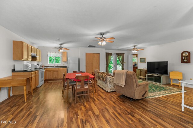 236 Beech St, Sneedville, TN 37869 - photo 5