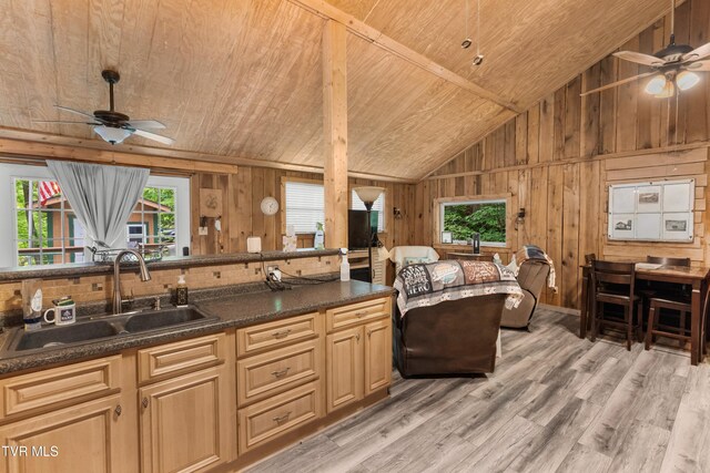 236 Beech St, Sneedville, TN 37869 - photo 21