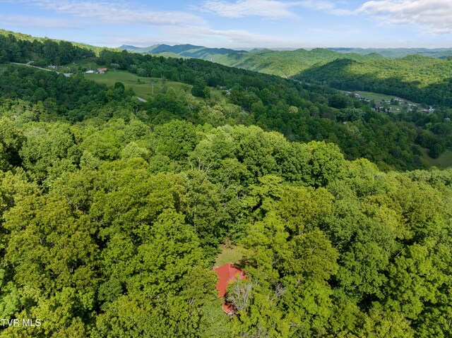 236 Beech St, Sneedville, TN 37869 - photo 66