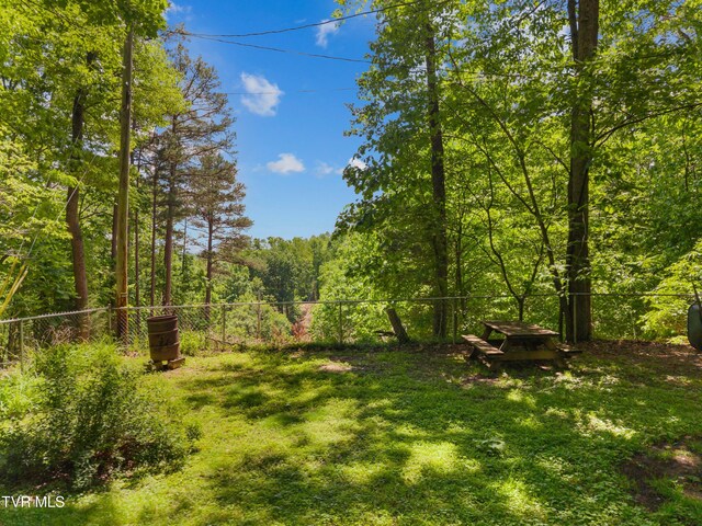 236 Beech St, Sneedville, TN 37869 - photo 75