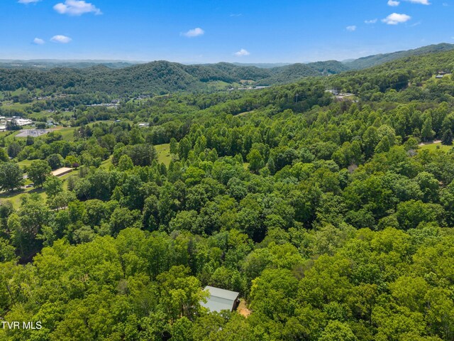 236 Beech St, Sneedville, TN 37869 - photo 81