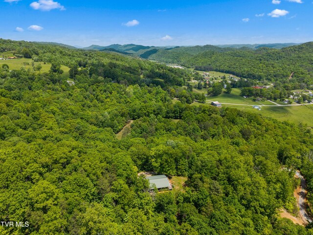 236 Beech St, Sneedville, TN 37869 - photo 82
