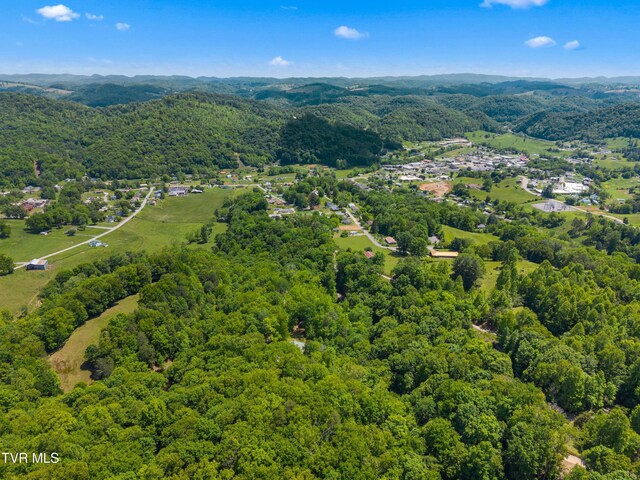 236 Beech St, Sneedville, TN 37869 - photo 83