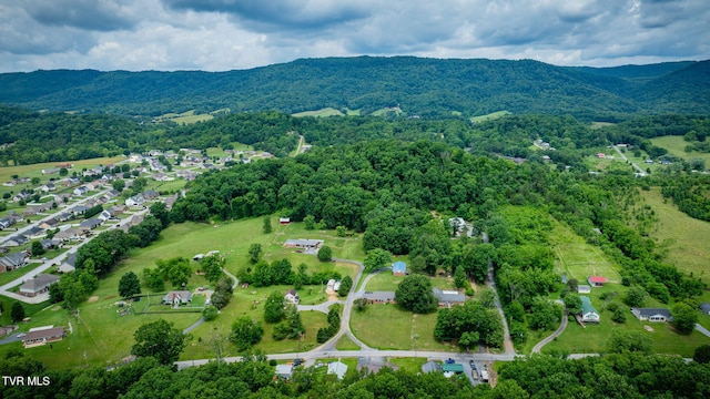 4173 Ridge Rd, Kingsport, TN 37660 - photo 30