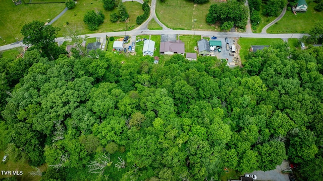 4173 Ridge Rd, Kingsport, TN 37660 - photo 31