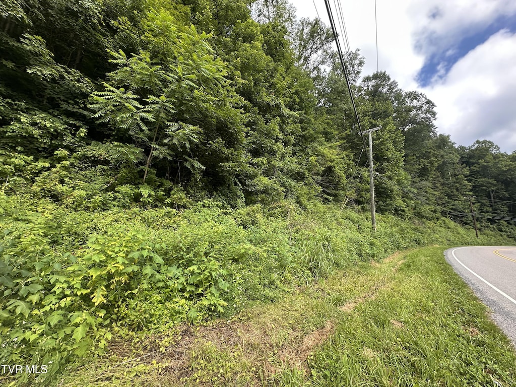 TBD Wise St, Saint Paul, VA 24283