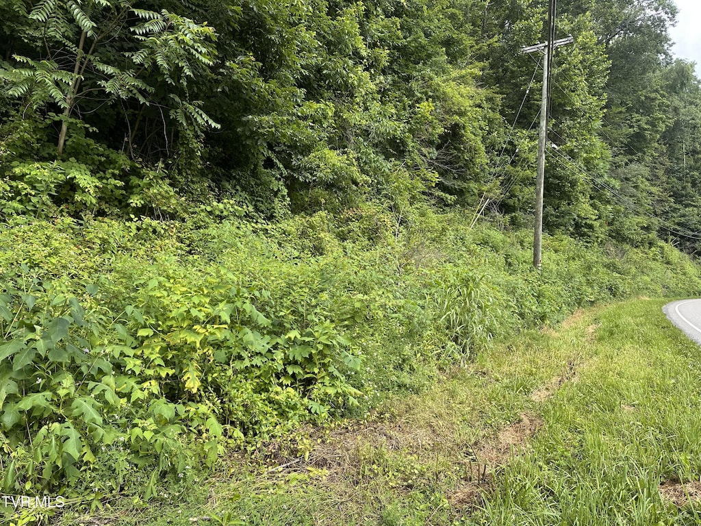 TBD Wise St, Saint Paul, VA 24283