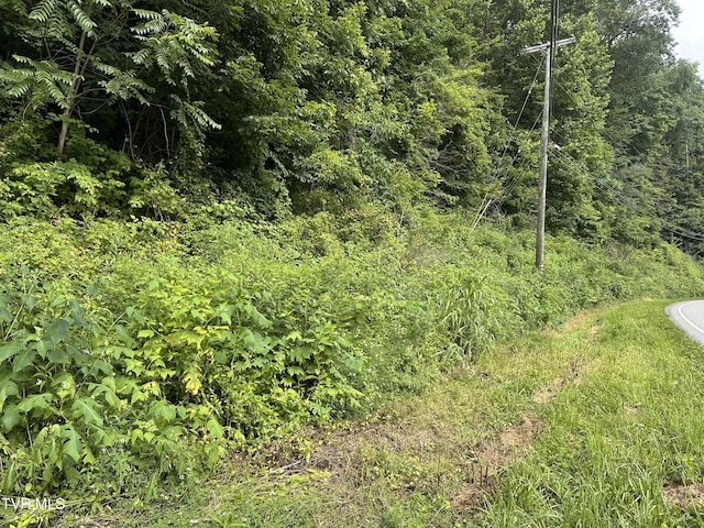 TBD Wise St, Saint Paul, VA 24283