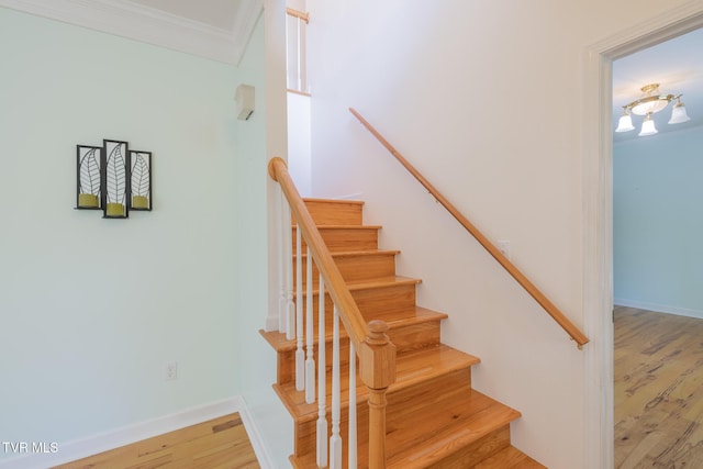 566 Beechwood Rd, Kingsport, TN 37663 - stairway featuring wood finished floors and crown molding