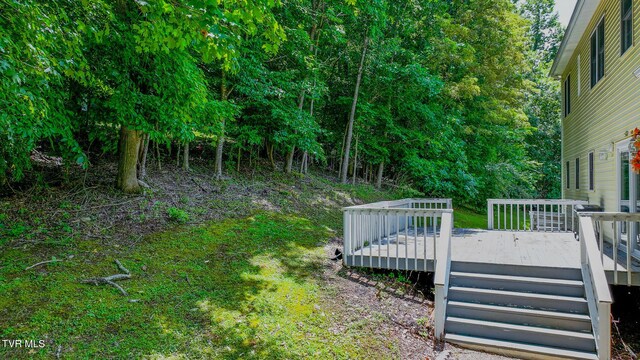 566 Beechwood Rd, Kingsport, TN 37663 - view of yard with a deck