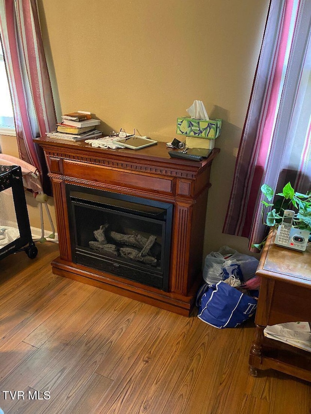 880 E Gilley Ave, Big Stone Gap, VA 24219 - detailed view of wood finished floors and a fireplace