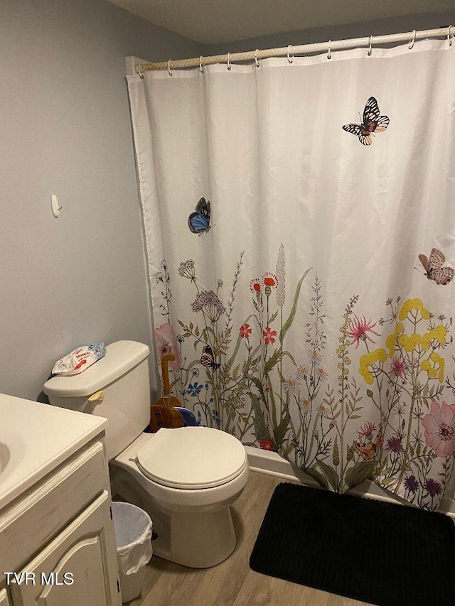 880 E Gilley Ave, Big Stone Gap, VA 24219 - full bathroom with wood finished floors, vanity, and a shower with curtain