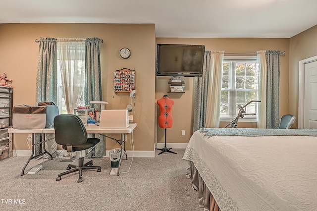 5000 Aberlea Pl, Piney Flats, TN 37686 - bedroom with carpet flooring and a desk