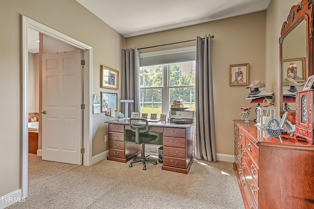 5000 Aberlea Pl, Piney Flats, TN 37686 - home office featuring light colored carpet and baseboards