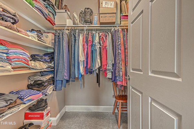 5000 Aberlea Pl, Piney Flats, TN 37686 - spacious closet with carpet