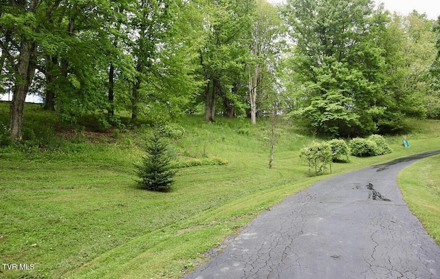 3219 Dungannon Rd, Coeburn, VA 24230 - view of asphalt road