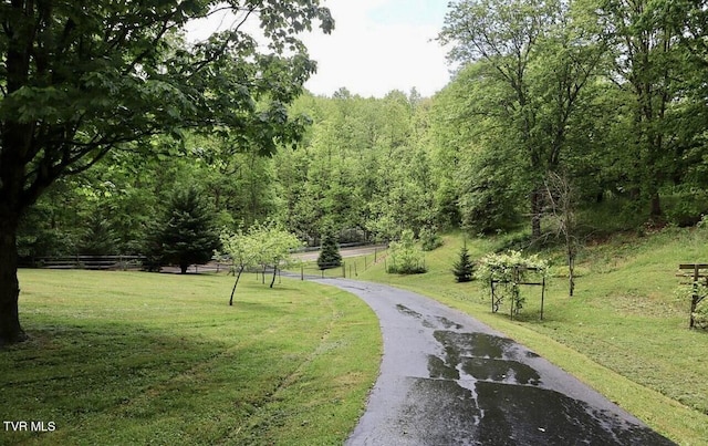 3219 Dungannon Rd, Coeburn, VA 24230 - view of community with a forest view