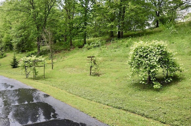 3219 Dungannon Rd, Coeburn, VA 24230 - view of grassy yard