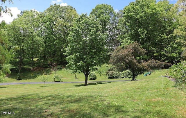 3219 Dungannon Rd, Coeburn, VA 24230 - view of community with a yard