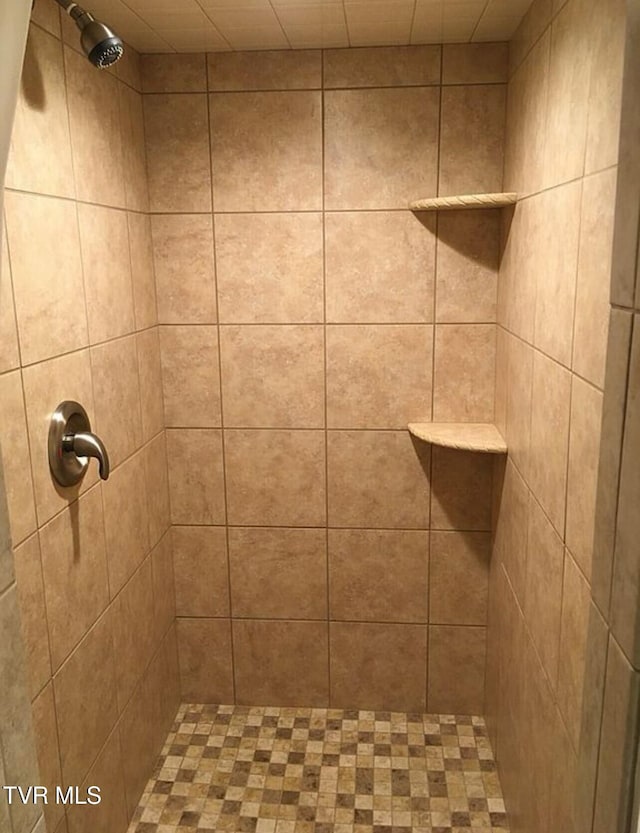3219 Dungannon Rd, Coeburn, VA 24230 - full bath with a tile shower
