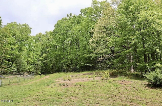 3219 Dungannon Rd, Coeburn, VA 24230 - view of woods