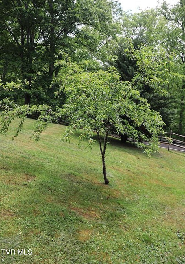 3219 Dungannon Rd, Coeburn, VA 24230 - view of green lawn