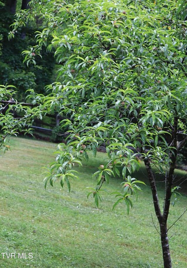 3219 Dungannon Rd, Coeburn, VA 24230 - view of grassy yard