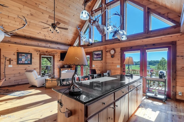 121 Hulse Rd, Jonesborough, TN 37659 - kitchen featuring high vaulted ceiling, hardwood / wood-style flooring, wood walls, wood ceiling, and open floor plan