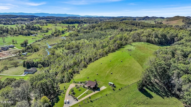 121 Hulse Rd, Jonesborough, TN 37659 - drone / aerial view of a mountain backdrop