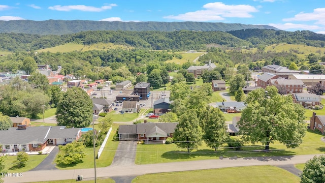 135 Lively St, Lebanon, VA 24266
